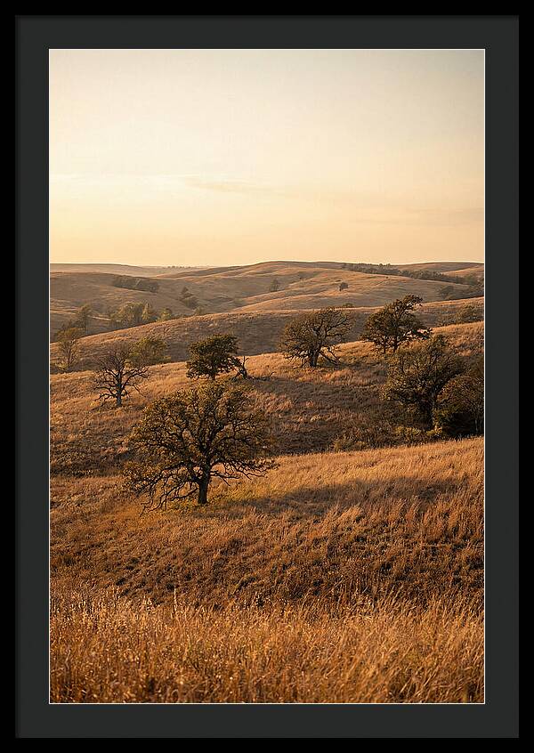 Flint Hills Serenity