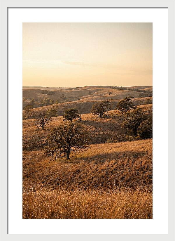 Flint Hills Serenity