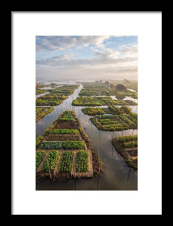 Floating Gardens Of Myanmar