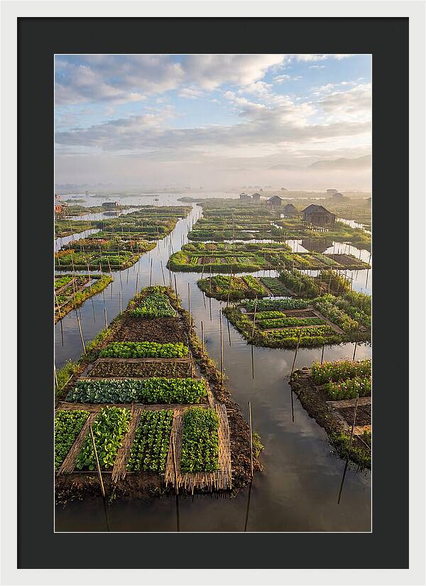 Floating Gardens Of Myanmar