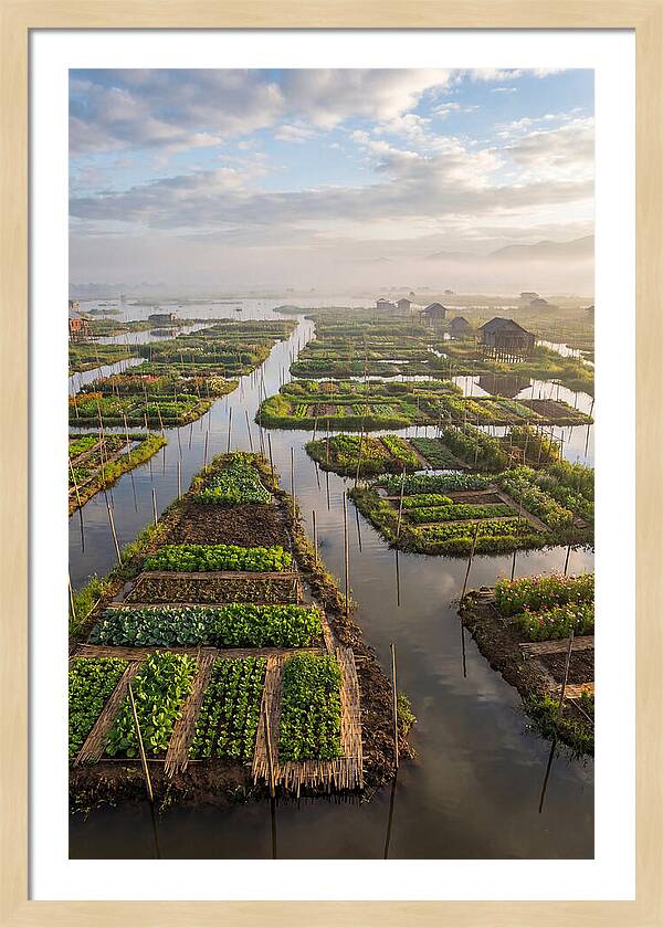 Floating Gardens Of Myanmar