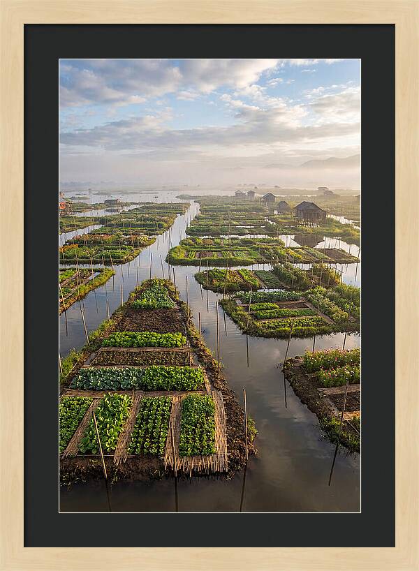 Floating Gardens Of Myanmar