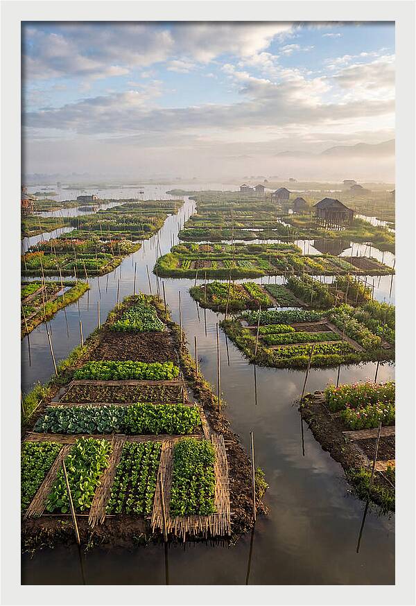 Floating Gardens Of Myanmar