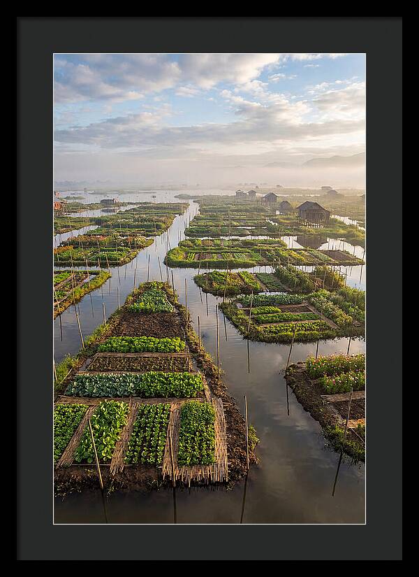 Floating Gardens Of Myanmar