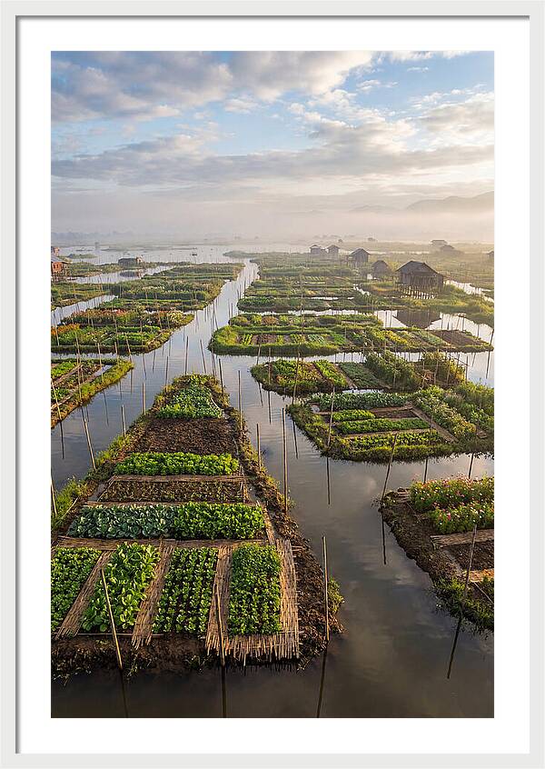 Floating Gardens Of Myanmar