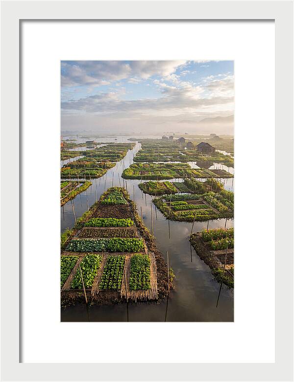 Floating Gardens Of Myanmar