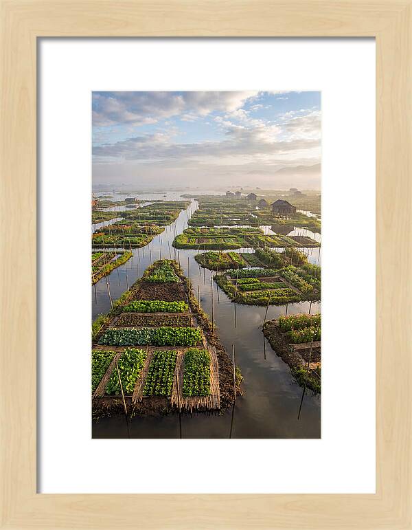 Floating Gardens Of Myanmar