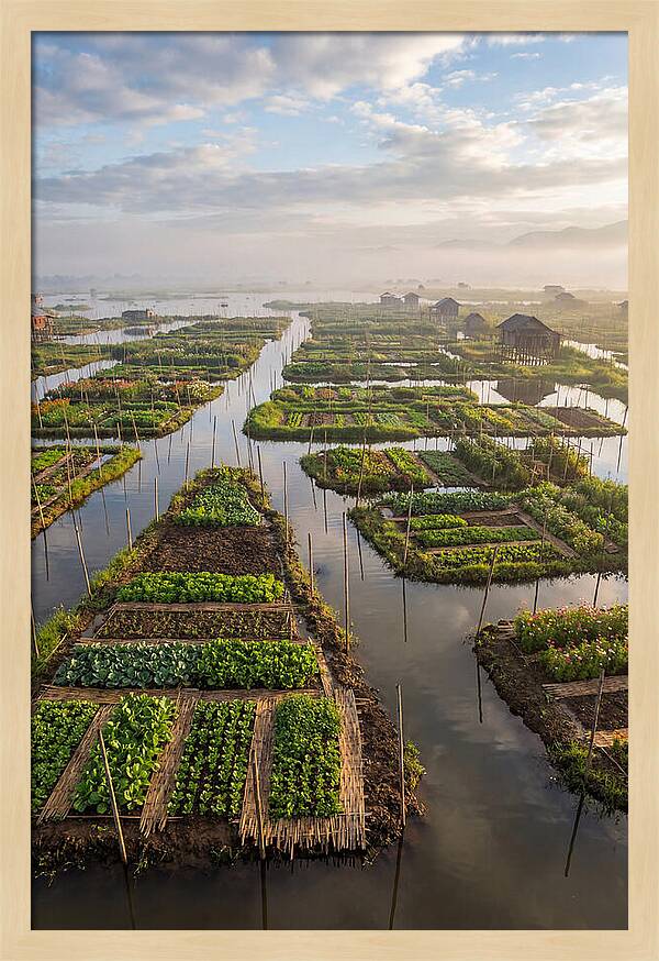 Floating Gardens Of Myanmar