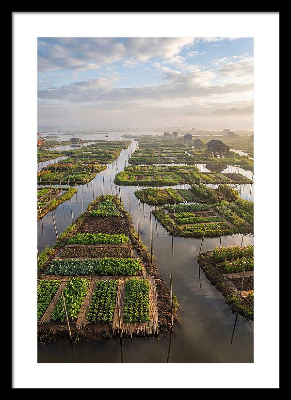 Floating Gardens Of Myanmar