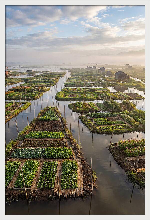 Floating Gardens Of Myanmar