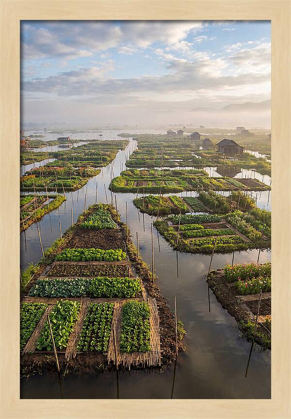 Floating Gardens Of Myanmar