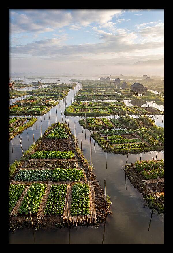 Floating Gardens Of Myanmar