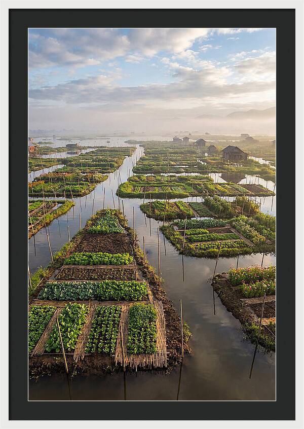 Floating Gardens Of Myanmar