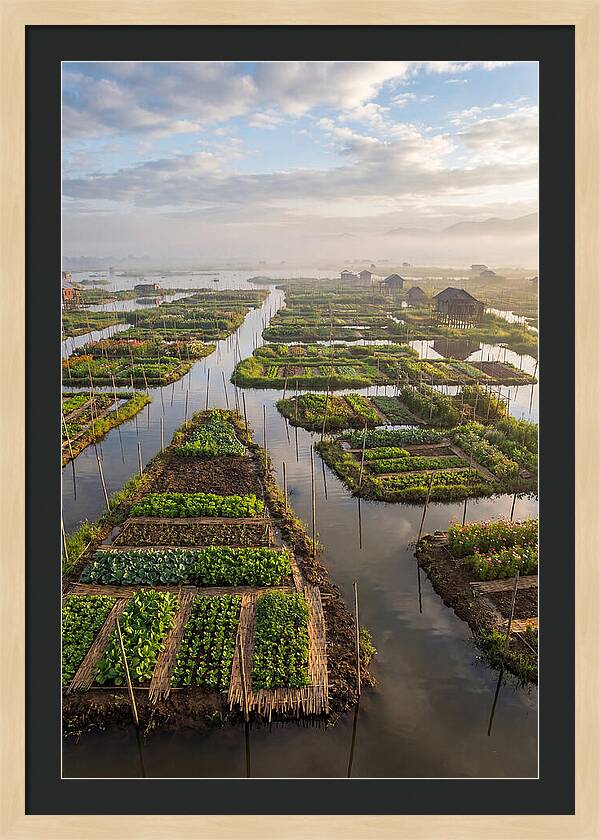 Floating Gardens Of Myanmar