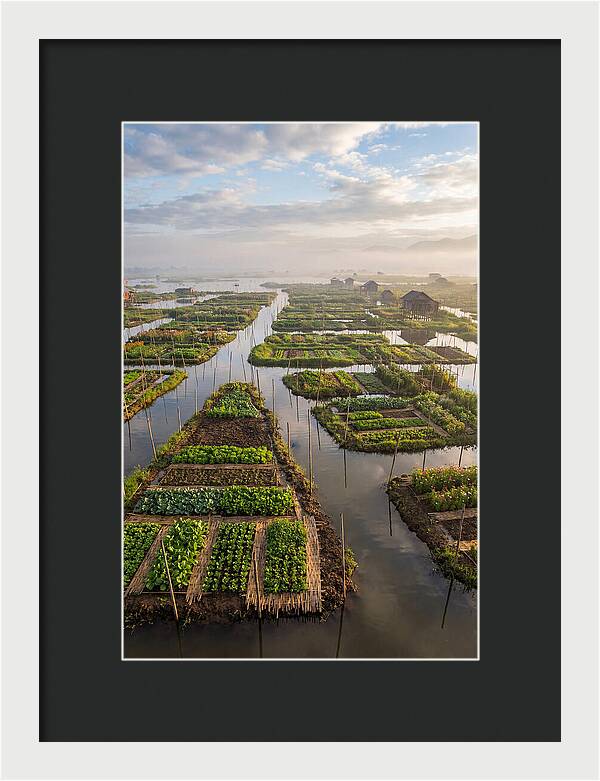 Floating Gardens Of Myanmar