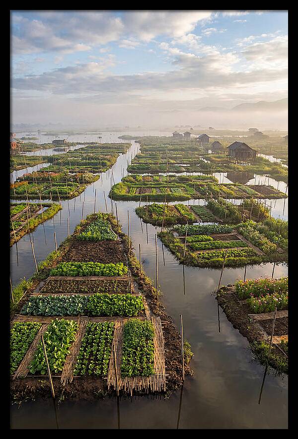 Floating Gardens Of Myanmar