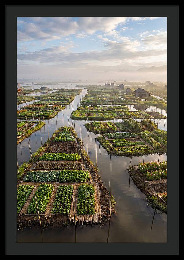 Floating Gardens Of Myanmar