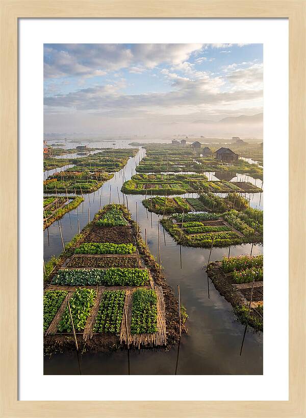 Floating Gardens Of Myanmar