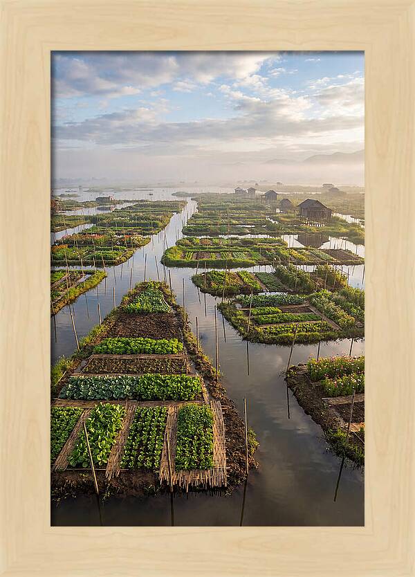 Floating Gardens Of Myanmar