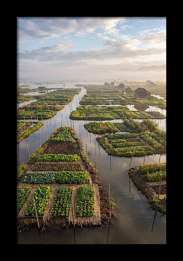 Floating Gardens Of Myanmar