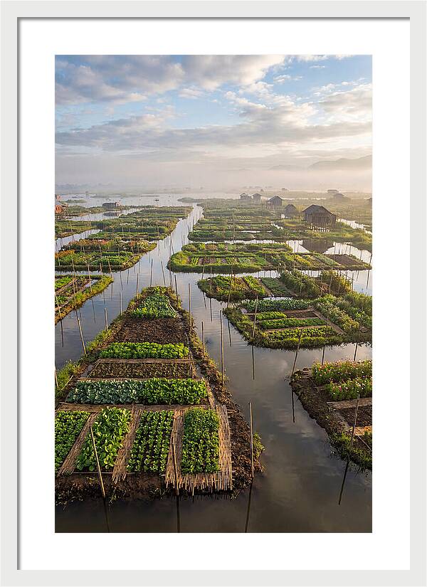 Floating Gardens Of Myanmar