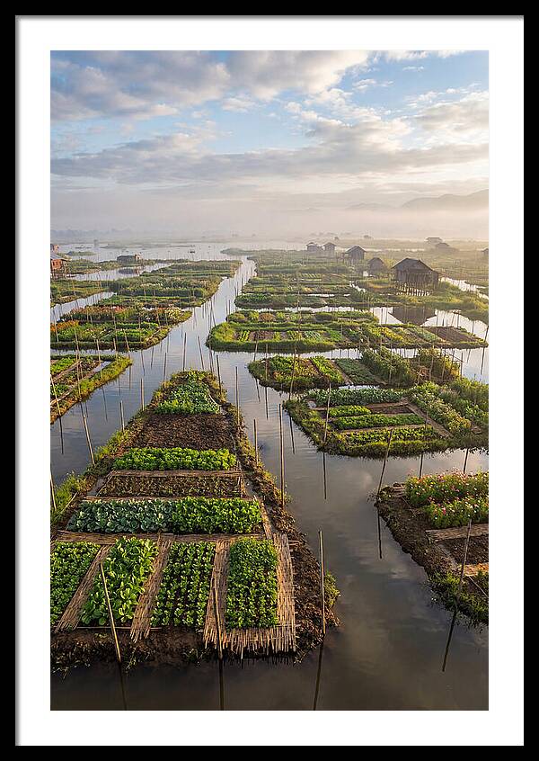Floating Gardens Of Myanmar