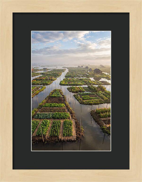 Floating Gardens Of Myanmar