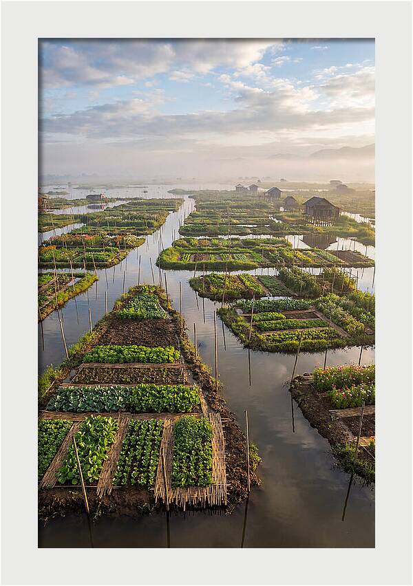 Floating Gardens Of Myanmar