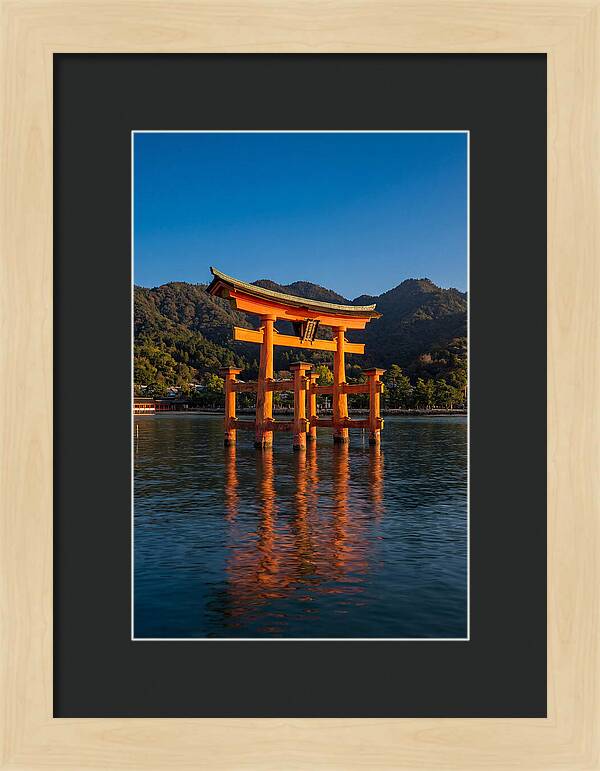 Floating Torii Gate At Itsukushima Shrine