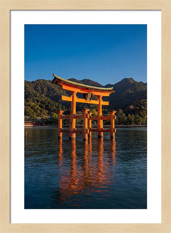 Floating Torii Gate At Itsukushima Shrine