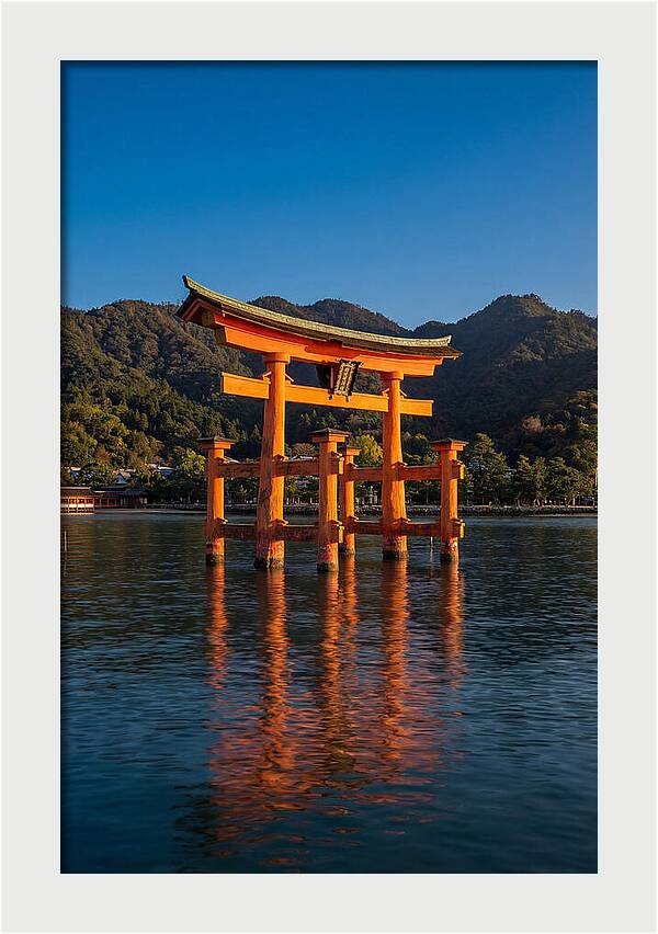 Floating Torii Gate At Itsukushima Shrine