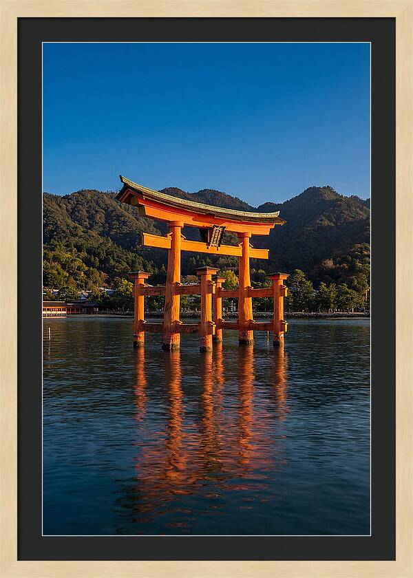 Floating Torii Gate At Itsukushima Shrine
