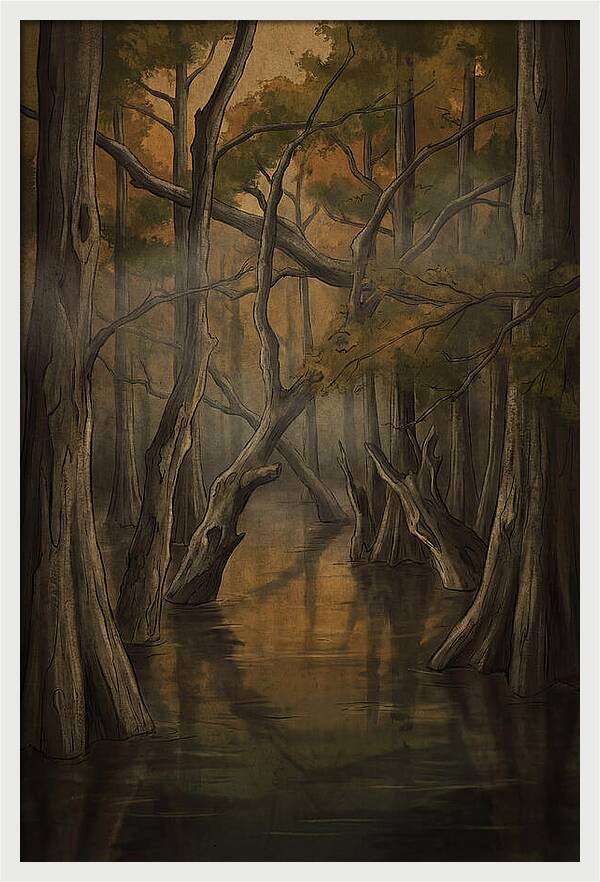 Flooded Forest Reflections