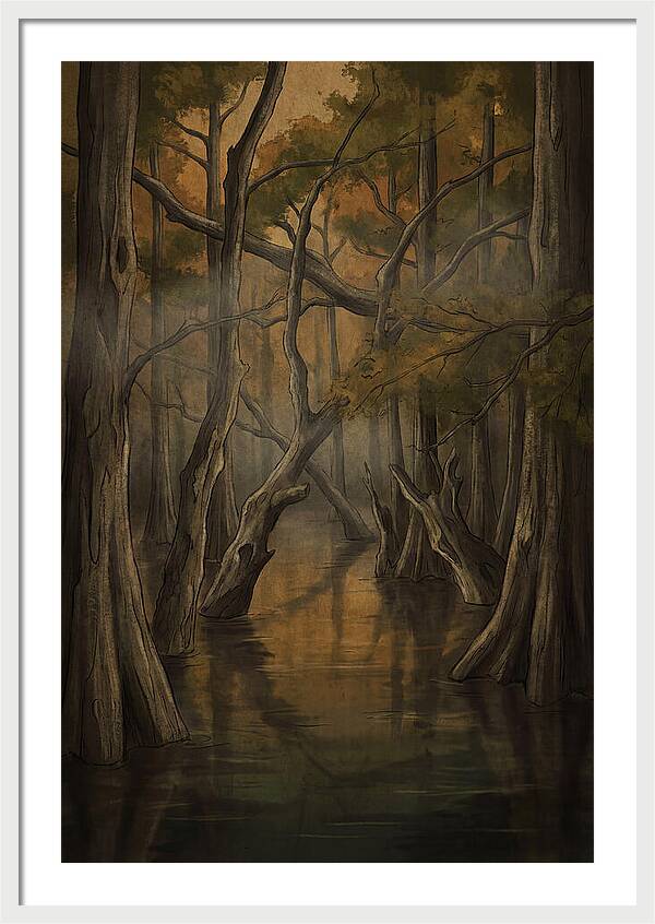 Flooded Forest Reflections