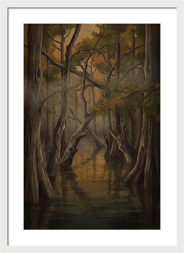 Flooded Forest Reflections