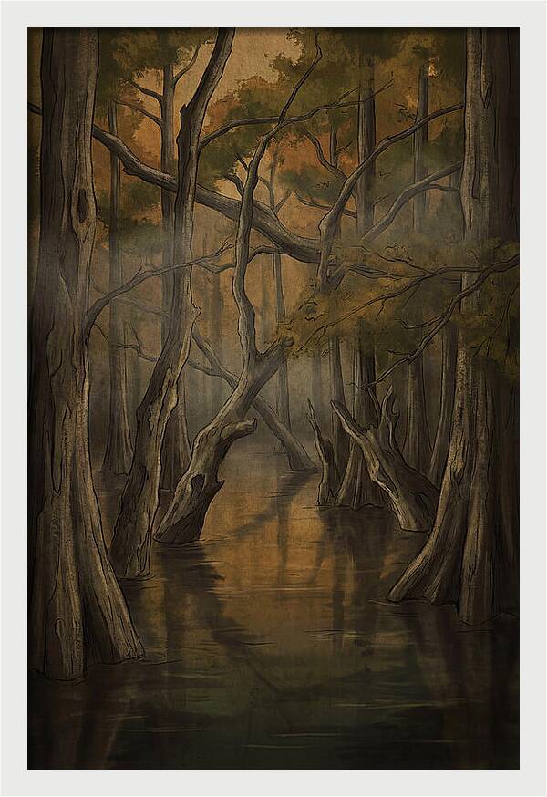 Flooded Forest Reflections
