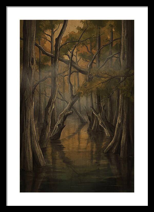 Flooded Forest Reflections