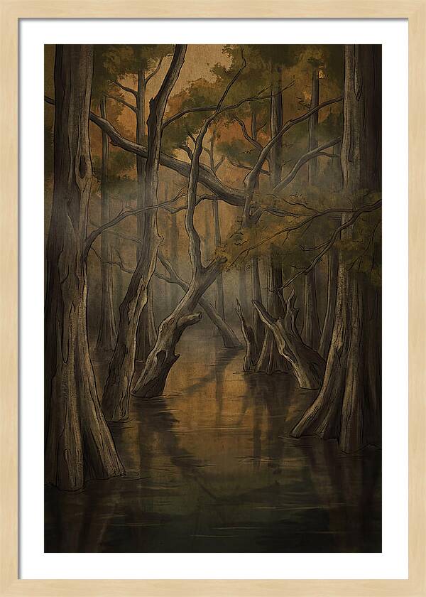 Flooded Forest Reflections