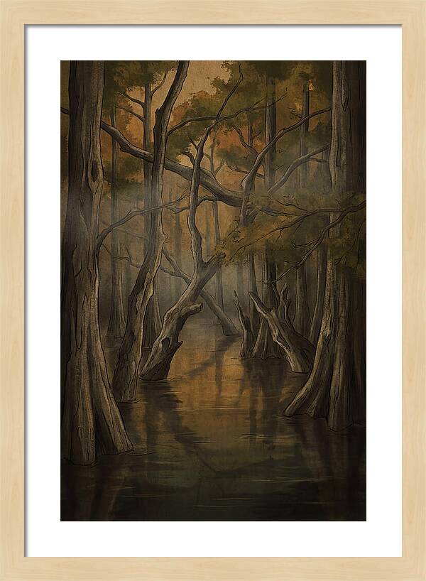 Flooded Forest Reflections