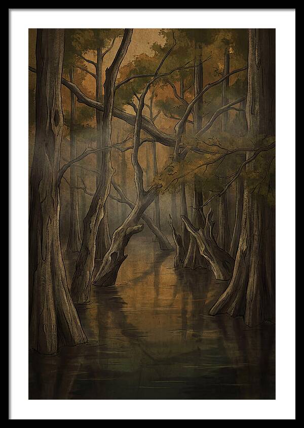 Flooded Forest Reflections