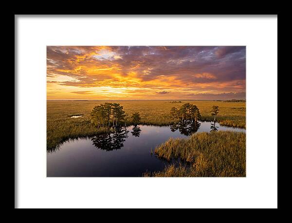 Florida Everglades At Golden Hour