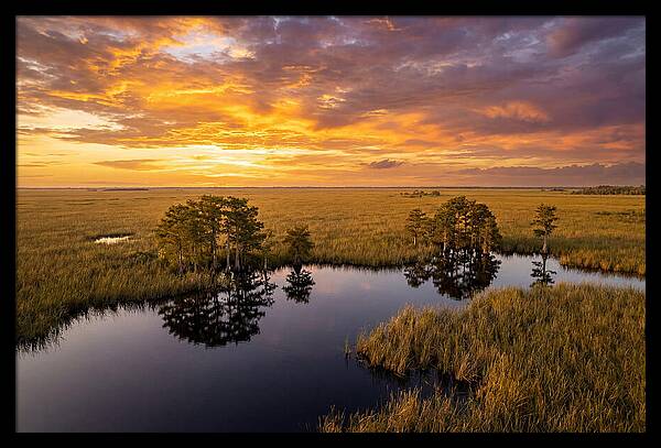 Florida Everglades At Golden Hour