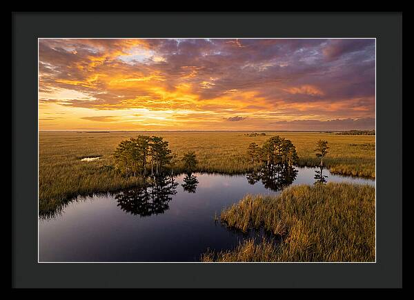 Florida Everglades At Golden Hour