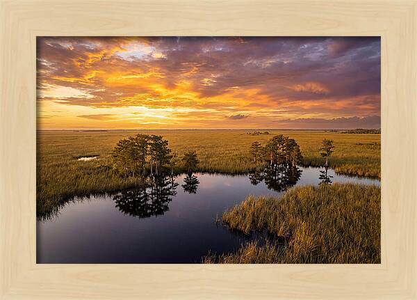 Florida Everglades At Golden Hour