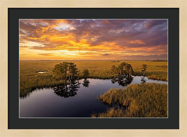 Florida Everglades At Golden Hour