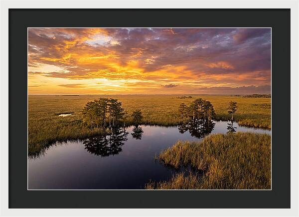 Florida Everglades At Golden Hour