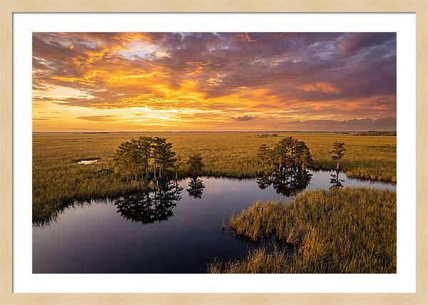 Florida Everglades At Golden Hour