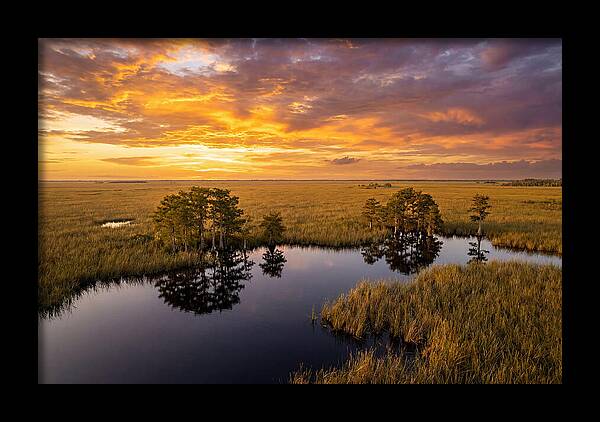 Florida Everglades At Golden Hour