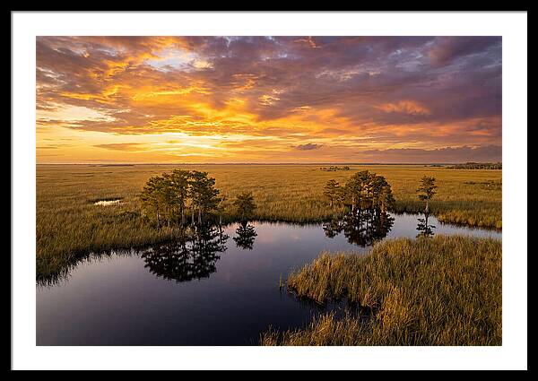 Florida Everglades At Golden Hour