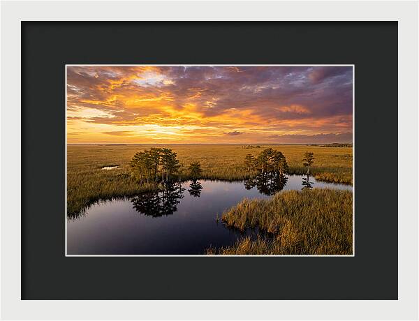 Florida Everglades At Golden Hour